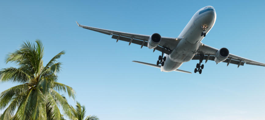 Plane flying over a palm tree